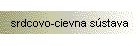 srdcovo-cievna sstava